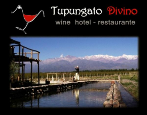 Tupungato Divino
